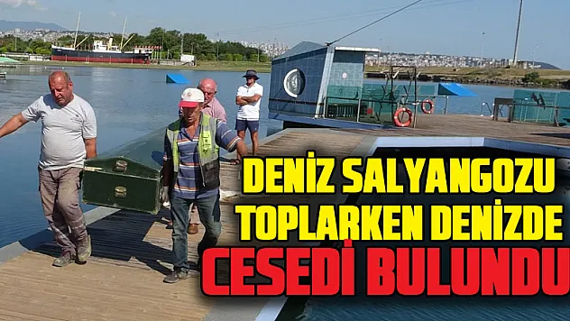 Deniz salyangozu toplarken denizde cesedi bulundu