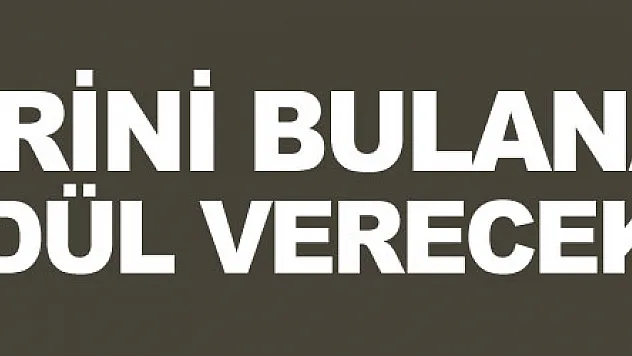 Köpeklerini bulana 5 bin TL ödül verecek
