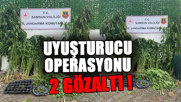 Jandarmadan uyuşturucu operasyonu: 2 gözaltı