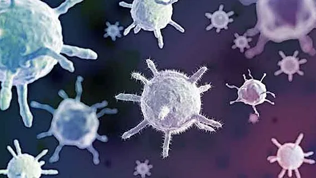 Uzmanından uyarı: 'Hepatit virüsü kansere neden olabilir'