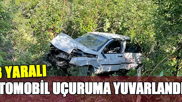 Otomobil uçuruma yuvarlandı: 3 yaralı