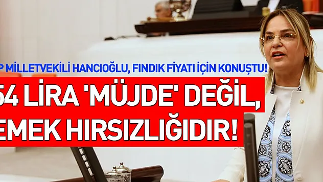 54 lira 'müjde' değil, emek hırsızlığıdır!