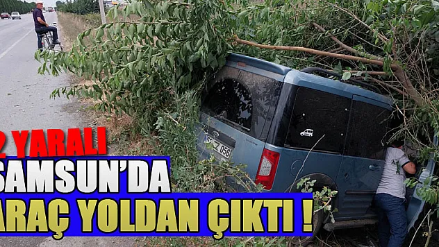 Samsun'da hafif ticari araç yoldan çıktı: 2 yaralı