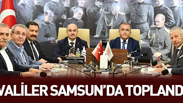 Orta Karadeniz'deki valiler Samsun'da toplandı