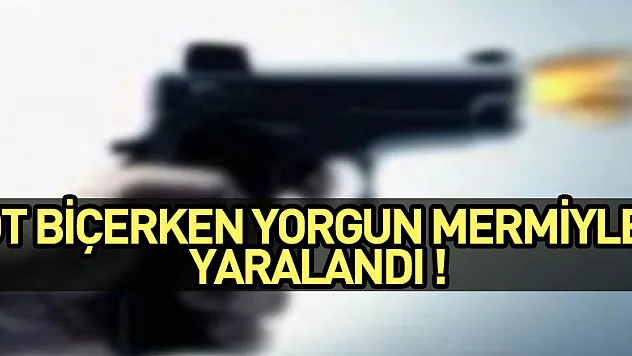 Ot biçerken yorgun mermiyle yaralandı
