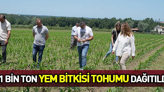 81 bin ton yem bitkisi tohumu dağıtıldı