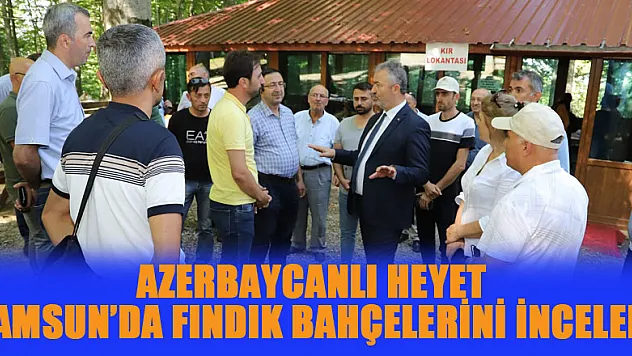 Azerbaycanlı heyet Samsun'da fındık bahçelerini inceledi