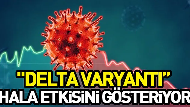 Profesör artan korona ölümlerinin nedenlerini açıkladı: 'Delta varyantı hala etkisini gösteriyor'