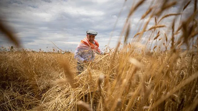 Tarım-ÜFE yıllık yüzde 157,89 arttı