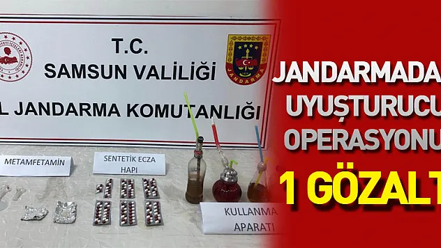 Jandarmadan uyuşturucu operasyonu: 1 gözaltı