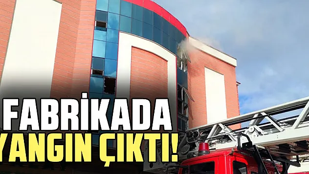 Fabrikada Yangın Çıktı