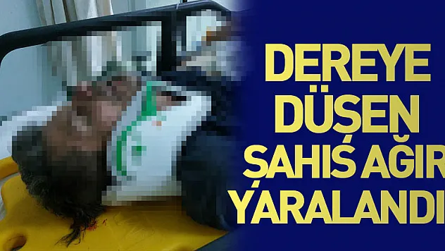 Dereye düşen şahıs ağır yaralandı