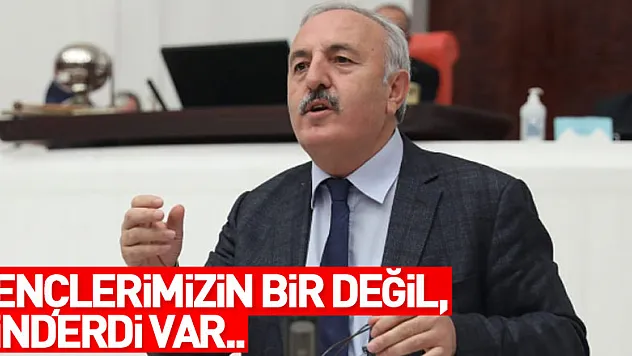 Gençlerimizin bir değil, binderdi var..