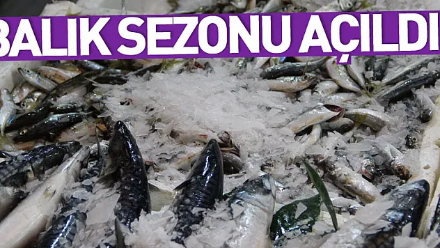 BALIK SEZONU AÇILDI !