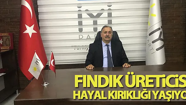 Fındık Üreticisi Hayal Kırıklığı Yaşıyor