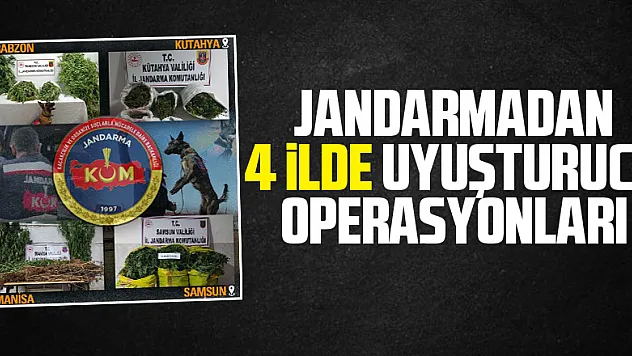 Jandarmadan 4 ilde uyuşturucu operasyonları