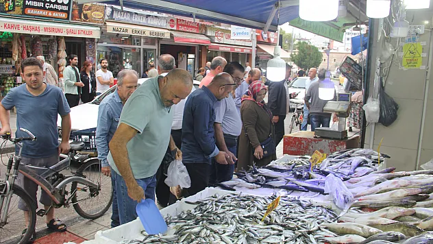 Havalar serinledi, palamut kendini gösterdi