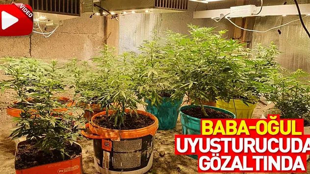 Samsun'da uyuşturucu operasyonu: Baba-oğul gözaltında