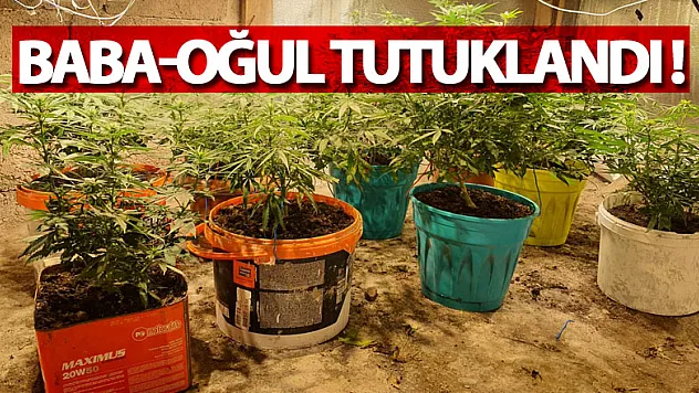 Samsun'da uyuşturucu operasyonu: Baba-oğul tutuklandı