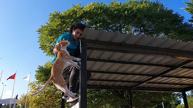 Hastane bahçesindeki çatıda mahsur kalan kediyi personel kurtardı