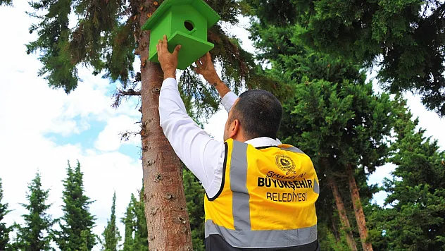 Atık ahşaplar kuşlara yuva oldu