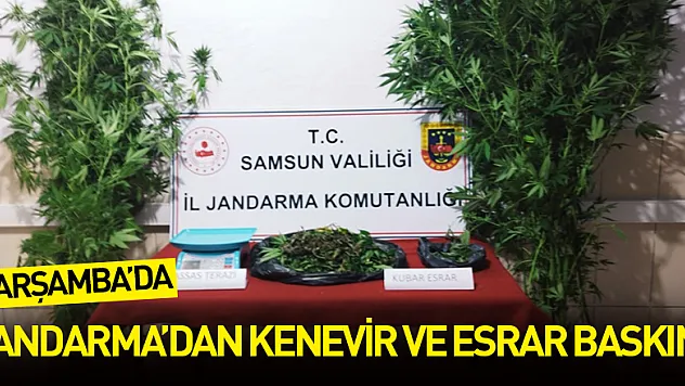 Kenevir ve esrar baskını: 1 gözaltı