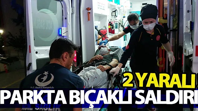 Parkta bıçaklı saldırı: 2 yaralı