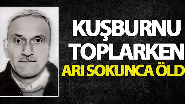 Kuşburnu toplarken arı sokunca öldü