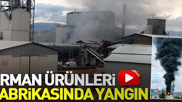 Samsun'da orman ürünleri işlenen fabrikada çıkan yangın hasara neden oldu