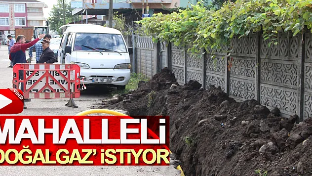Mahalleli 'doğalgaz' istiyor