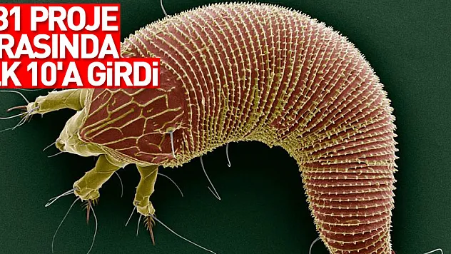 131 proje arasında ilk 10'a girdi