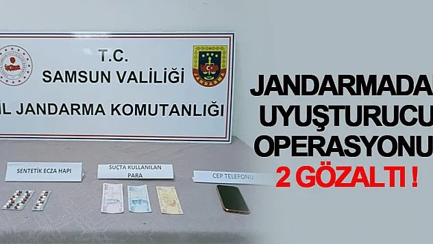 Jandarmadan uyuşturucu operasyonu: 2 gözaltı