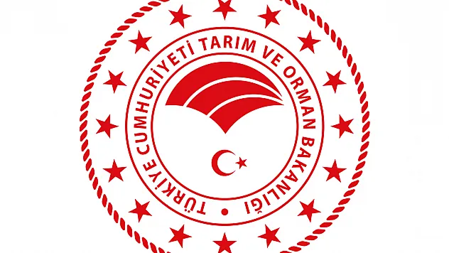 Hazine ve Maliye Bakanlığı, gıda sektöründe faaliyet gösteren mükellefleri inceledi