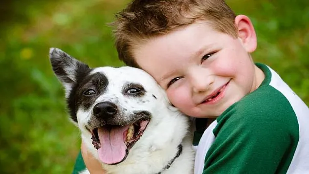 Hayvan sevgisinin çocuklar üzerindeki etkisi