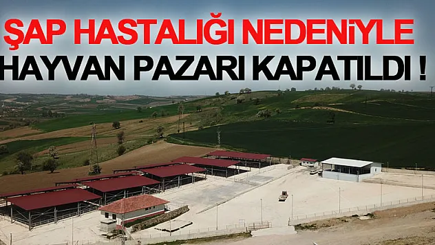 Havza'da canlı hayvan pazarı süresiz olarak kapatıldı