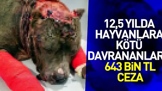 Son 12,5 yılda hayvanlara kötü davrananlara 643 bin TL ceza kesildi