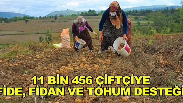 Samsun'da 11 bin 456 çiftçiye fide, fidan ve tohum desteği