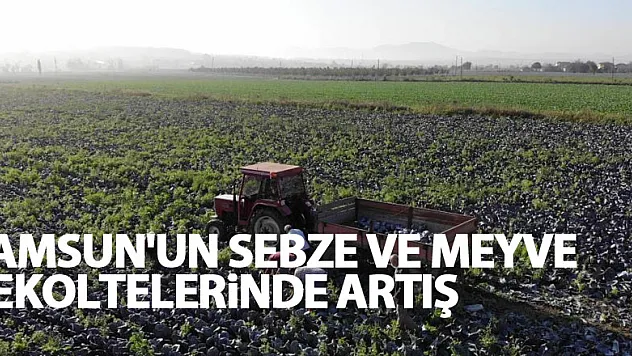 Samsun'un sebze ve meyve rekoltelerinde artış