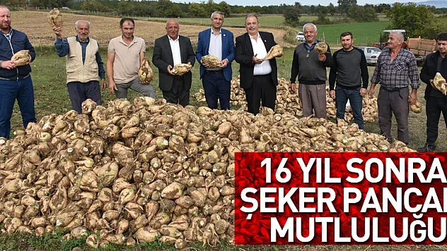 16 yıl sonra şeker pancarı mutluluğu Üretici şeker pancarı ekiyor!
