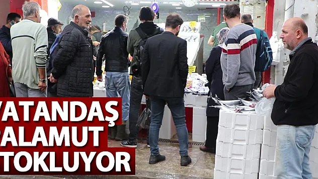 Vatandaş palamut stokluyor