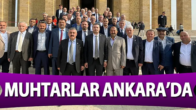 Muhtarlar Ankara'da