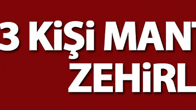 Samsun'da 3 kişi mantardan zehirlendi