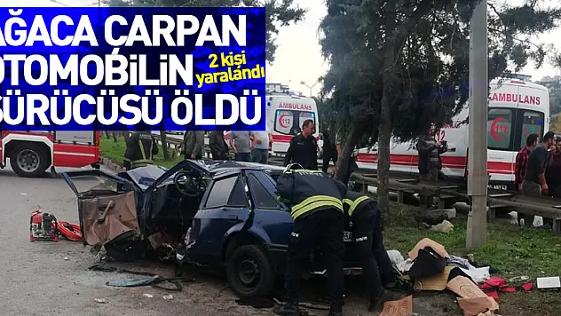 Samsun'da ağaca çarpan otomobilin sürücüsü öldü, 2 kişi yaralandı