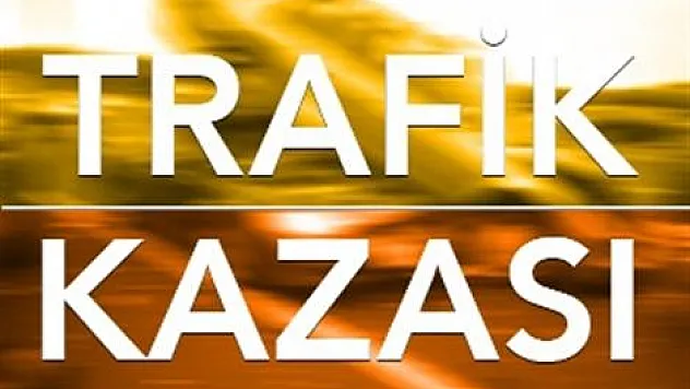 Otomobil köprü korkuluklarına çarptı 1 yaralı