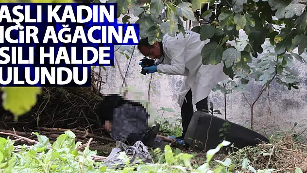 Yaşlı kadın incir ağacına asılı halde bulundu
