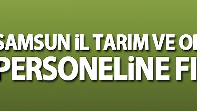 Samsun İl Tarım ve Orman Müdürlüğü personeline fındık eğitimi