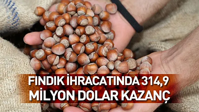 fındık ihracatında 314,9 milyon dolar kazanç