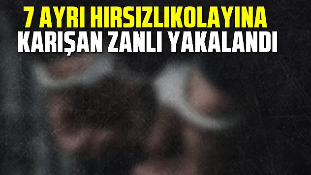 7 ayrı hırsızlık olayına karışan zanlı yakalandı