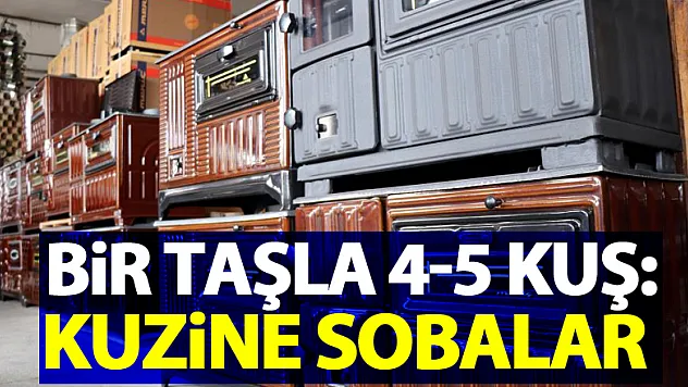 Bir taşla 4-5 kuş: Kuzine sobalar
