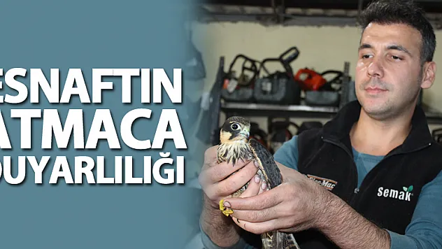 Esnaftan Atmaca Duyarlılığı